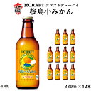 【ふるさと納税】＜九州限定 寶CRAFT クラフトチューハイ 桜島小みかん 330ml×12本＞※入金確認後、翌月末迄に順次出荷します。 ご当地 酎ハイ 蜜柑 黒木酒店 特産品 宮崎県 高鍋町【常温】