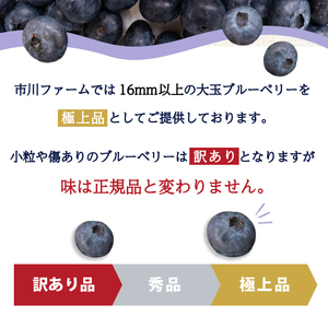 【訳あり】ブルーベリー 500g x 4 パック 合計 2kg 冷凍  ﾌﾞﾙｰﾍﾞﾘｰ ﾌﾞﾙｰﾍﾞﾘｰ ﾌﾞﾙｰﾍﾞﾘｰ ﾌﾞﾙｰﾍﾞﾘｰ ﾌﾞﾙｰﾍﾞﾘｰ ﾌﾞﾙｰﾍﾞﾘｰ ﾌﾞﾙｰﾍﾞﾘｰ ﾌ