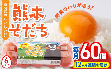 【全12回定期便】熊本そだち おいしいたまご 60個入り ( 10個入り × 6パック ) 山都町卵 熊本県産卵 卵 新鮮卵 高品質卵 卵 小分け卵 卵焼き パック卵 高評価卵 美味しい卵 笑顔の卵 卵かけご飯 ゆで卵 鶏卵 たまご 卵黄 卵  卵定期 卵定期便【蘇陽農場】[YBE036]