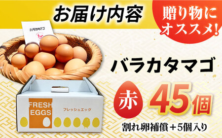 【箱入り】バラカタマゴ 45個入 M-Lサイズ 卵 玉子 たまご 国産 五島市 / 五島列島大石養鶏場 [PFQ053]  玉子 タマゴ 鶏卵 希少 五島列島