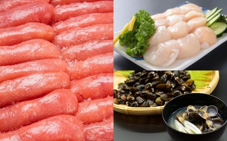 【定期便】オホーツク網走人気の海鮮グルメ 偶数月お届け定期便全6回 ABAO2204