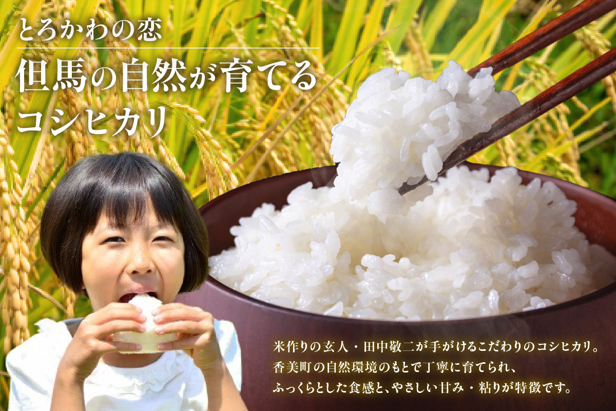《先行予約》【兵庫県香美町産コシヒカリ】【令和8年産 「とろかわの恋（極）」 10kg（5kg×2）】【令和8年10月中旬以降発送予定】 常温 香美町産 但馬堆肥米 お米 白米 精米 令和8年産 こし