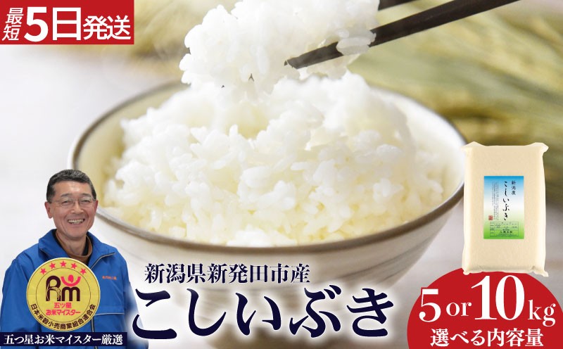 
                  【最短5日発送】 令和7年産 こしいぶき 真空パック 白米 5kg 10kg コシイブキ 新潟産 新潟米 新発田産 新発田 お米 米 kome ご飯 こめ ごはん ライス ふるさと納税 お弁当 食品 ブランド米 新潟県 新発田市 三糧 sanryo013P
                