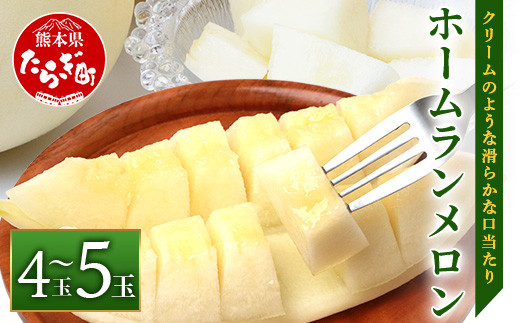 【2026年5月上旬発送開始】【先行予約】熊本県産 ホームランメロン 4〜5玉 約5kg 【 ご予約 令和8年 メロン フルーツ 果物 熊本 多良木 たらぎ 】083-0698-2026