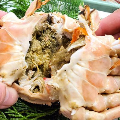 ふるさと納税 新温泉町 松葉ガニの本場より プロ茹で松葉ガニ(冷凍)　約600g×2枚 |  | 02