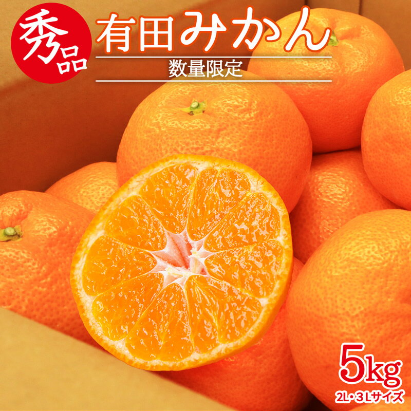 【ふるさと納税】【2025年先行予約】【限定】【数量限定】 秀品 有田みかん 5kg (2Lまたは3Lサイズおまかせ) 【ミカン 蜜柑 柑橘 温州みかん 有田みかん 和歌山 】