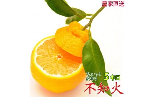 不知火 約5kg 24～28玉 《ご家庭用》 ちょっと訳あり 和歌山県産 農園直送 まごころ産直みかん 【北海道・沖縄県・一部離島 配送不可】訳アリ わけあり みかん しらぬい デコポンと同じ品種 でこぽん ［Mg57］