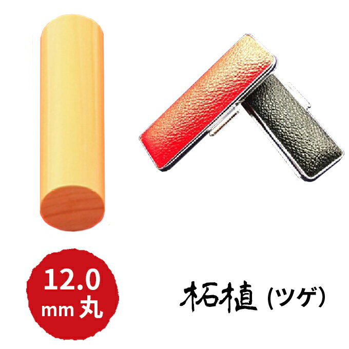 【ふるさと納税】本柘植12mm（5書体）牛革ケース（黒） 民芸品 工芸品