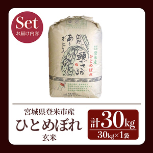 ＜先行予約！2025年10月以降順次発送予定＞≪令和7年産 新米≫ ひとめぼれ 玄米 30kg 登米市産 お米 おこめ 米 コメ ご飯 ごはん おにぎり お弁当 【登米ライスサービス株式会社】tm14