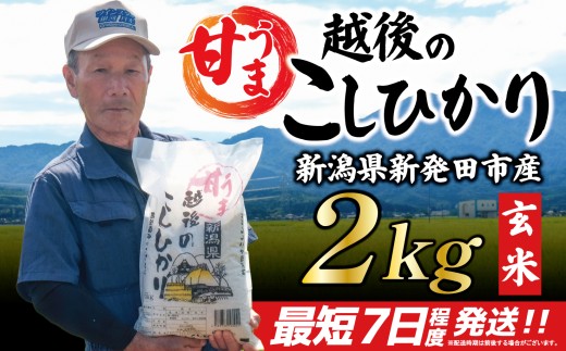 【最短7日発送】 こしひかり 玄米 2kg 令和7年産 甘うま越後の コシヒカリ 米 お米 こめ 新潟米 新潟県産 新潟産 新潟 新潟県 新発田産 新発田 新発田市 斗伸 toushin059