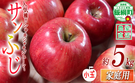 りんご サンふじ 家庭用 ( 小玉 ) 5kg 渡辺農園 沖縄県への配送不可 2026年12月中旬頃から2027年1月中旬頃まで順次発送予定 令和8年度収穫分 エコファーマー認定 減農薬栽培 長野県 飯綱町 [0803]