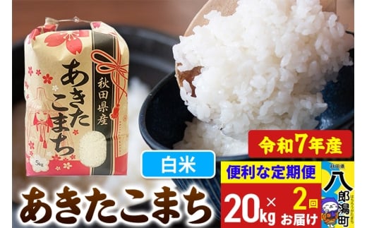 《定期便2ヶ月》【新米】 あきたこまち 20kg【白米】令和7年産 秋田県産 こまちライン