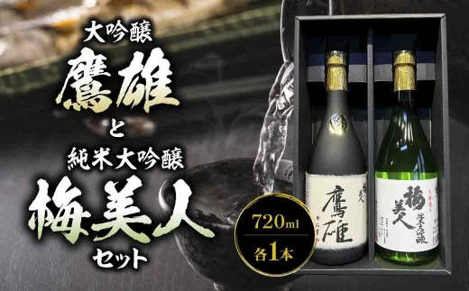 大吟醸　鷹雄720mlと純米大吟醸　梅美人720ml　のセット＜F03-7＞_日本酒 大吟醸 酒 純米大吟醸 セット 飲み比べ フルーティー 女性 飲みやすい 地酒 国産 産直 産地直送 銘酒 名酒 アルコール 【1043424】 YWTO003