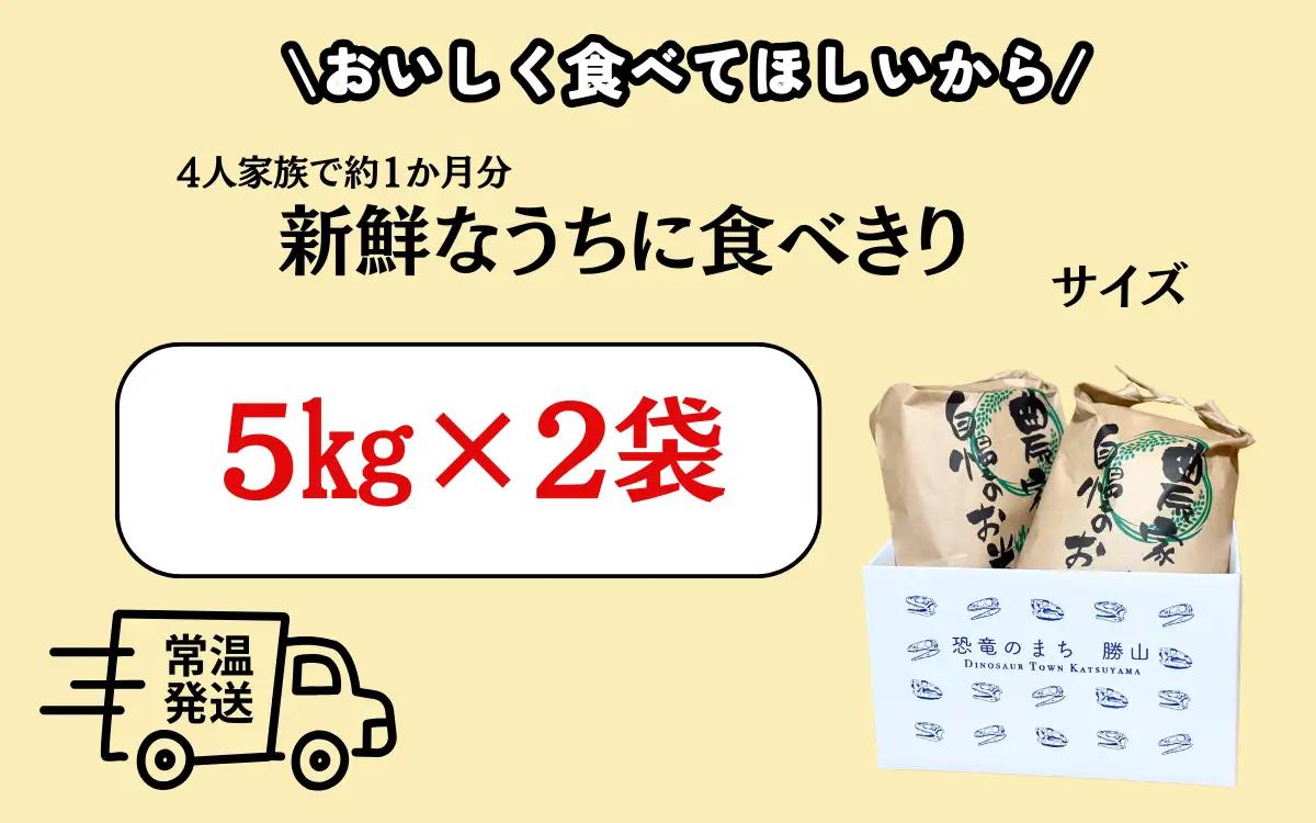 【ふるさと納税】【令和7年産】【勝山市産】農業人生60年小林さんのコシヒカリ 精米 10キロ / 選べる お米 米 ご飯 ブランド米 こしひかり 白米 精米 国産 北陸 福井県産 勝山市 【B-102