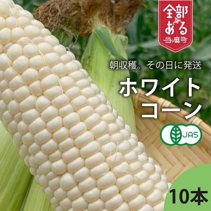 【ふるさと納税】 2026年産予約 ホワイトコーン 有機栽培 無農薬 無化学肥料 北海道 甘い とうもろこし トウモロコシ コーン 北海道産 野菜 アサンテファーム 朝採り 朝採れ 新鮮 旬 コーン 数量限定 送料無料 当麻町 お取り寄せ