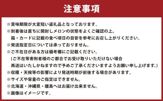 静岡県産 高級 アローマメロン 白等級 大玉 5玉 約1.5kg以上×5玉 計約7.5kg以上 果物 フルーツ メロン めろん 青肉 高級ブランドメロン ブランドメロン 高級メロン 贈答