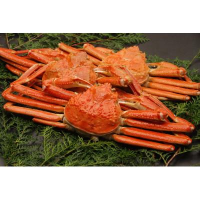 ふるさと納税 網走市 かにやの厳選ズワイ蟹好きな方にお勧め活〆茹でズワイ蟹3尾で約1.5kgセット