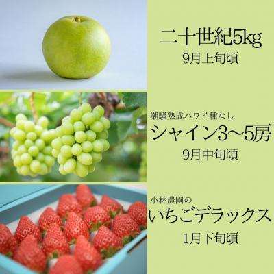ふるさと納税 湯梨浜町 ゆりはまフルーツ定期(2)(36M.) |  | 01