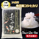 【ふるさと納税】令和6年産 魚沼産 コシヒカリ 定期便 5kg2袋×6回（毎月お届け）JA魚沼 60kg 白米 精米 魚沼 米 お米 おコメ おこめ ブランド米 こしひかり お取り寄せ 産地直送 おいしい おにぎり ごはん 白飯 人気 おすすめ うれしい 贈り物 新潟 小千谷 JA162P432