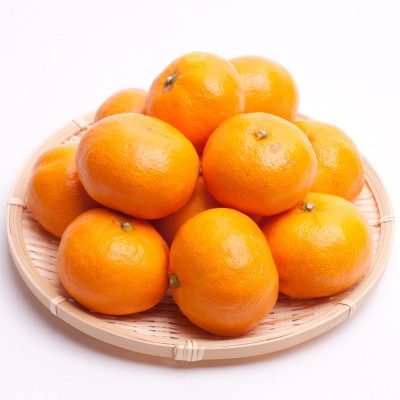 家庭用完熟有田みかん5kg+250g(傷み補償分)【光センサー選果】