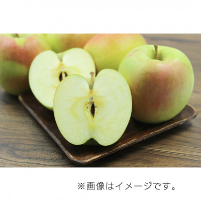 【10月下旬より発送開始】産地直送 青森県産ぐんま名月 3キロ箱 6～14玉 青森県産りんご【配送不可地域：離島】