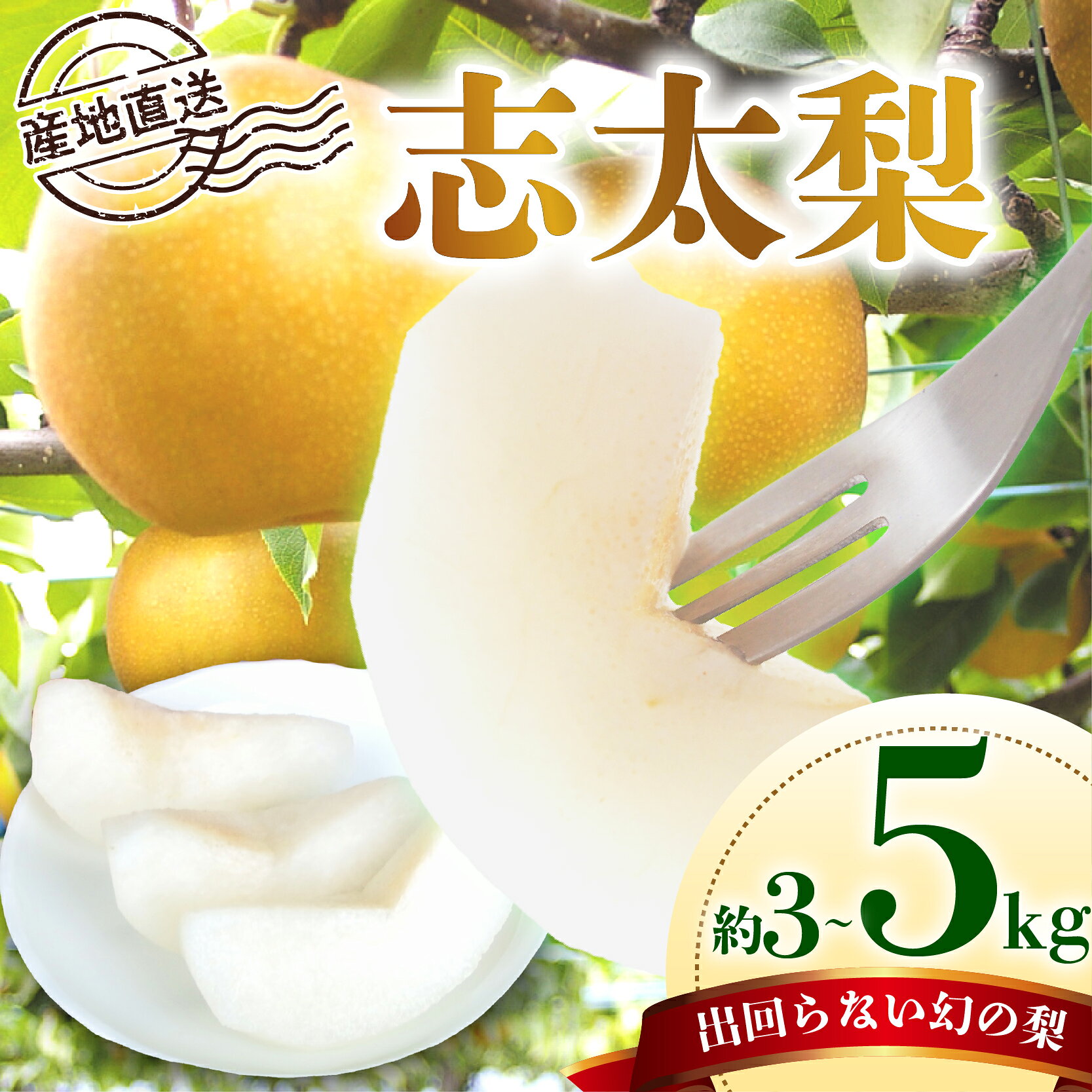 【ふるさと納税】 【先行予約：2026年8月以降出荷】 梨 3から5kg 志太梨 果物 フルーツ 産地 直送 家庭用 なし 藤枝産梨 夏 限定 旬の梨 静岡県 藤枝市