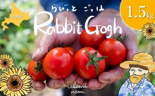
            北海道壮瞥町産 ラビットゴッホ1.5kg 中玉トマト 【 ふるさと納税 人気 おすすめ ランキング トマト とまと 野菜 ラビットゴッホ サラダ スライス 産地直送 北海道産 北海道 壮瞥町 送料無料 】 SBTAJ002
          