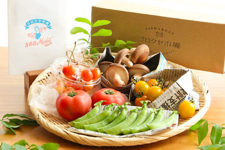 旬のお野菜セット 秋田県 由利本荘市産 栽培期間中農薬不使用 減農薬