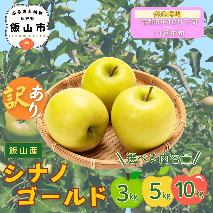 【ふるさと納税】2026年 先行予約 ＼ 訳あり シナノゴールド／ 選べる3kg / 5kg / 10kg ＜出荷開始：2026年10月下旬頃〜11月中旬頃＞【 りんご リンゴ 林檎 ゴールド フルーツ 果物 信州 規格外 B品 産地直送 新鮮 オススメ 美味しい 長野県 飯山市 】（At-023-024-025)