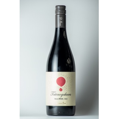 【ワインコンクール受賞】Domaine Beau 「南砺市産のぶどう」立野原ワイン5本セット【配送不可地域：離島】