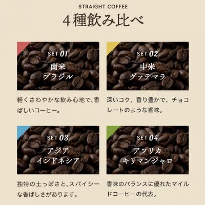 ふるさと納税 関市 カフェ・アダチ　ストレートコーヒー産地別(100g)飲み比べセットST-033 |  | 01