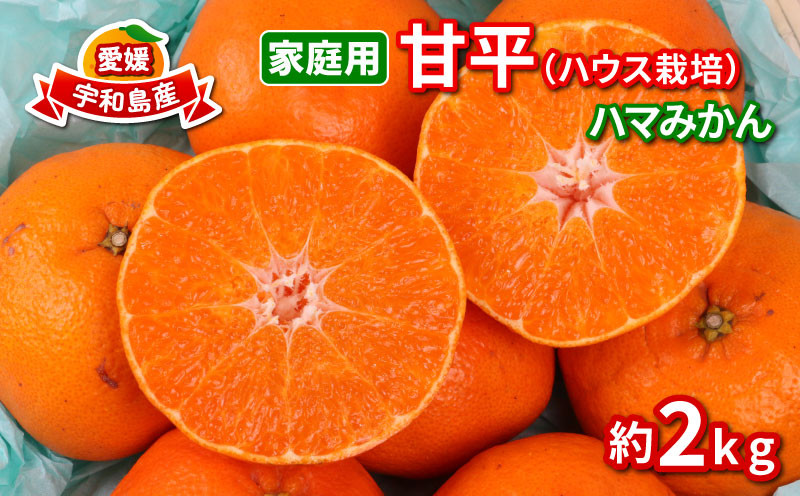
甘平 高級柑橘 2kg 家庭用 ハウス栽培 ハマみかん 先行予約 愛媛県 オリジナル かんぺい 高級 希少 限定 品種 シャキシャキ 甘い 果物 フルーツ 柑橘 みかん 蜜柑 愛媛ミカン 愛媛蜜柑 愛媛みかん 農家直送 産地直送 数量限定 国産 愛媛 宇和島 B012-075002
