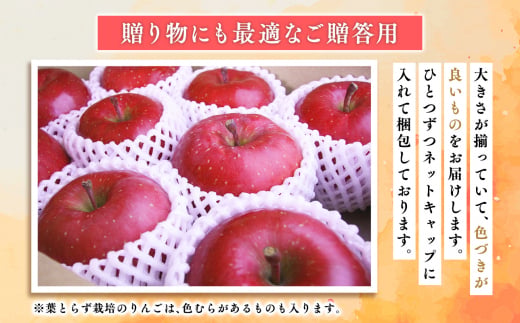 2025年産１１月～４月発送　贈答用葉とらずサンふじ3kg【青森県 平川市 そと川りんご園】１１月～４月発送 贈答 青森 青森県産 平川 葉とらず サンふじ ふじ りんご リンゴ 林檎 くだもの 果物