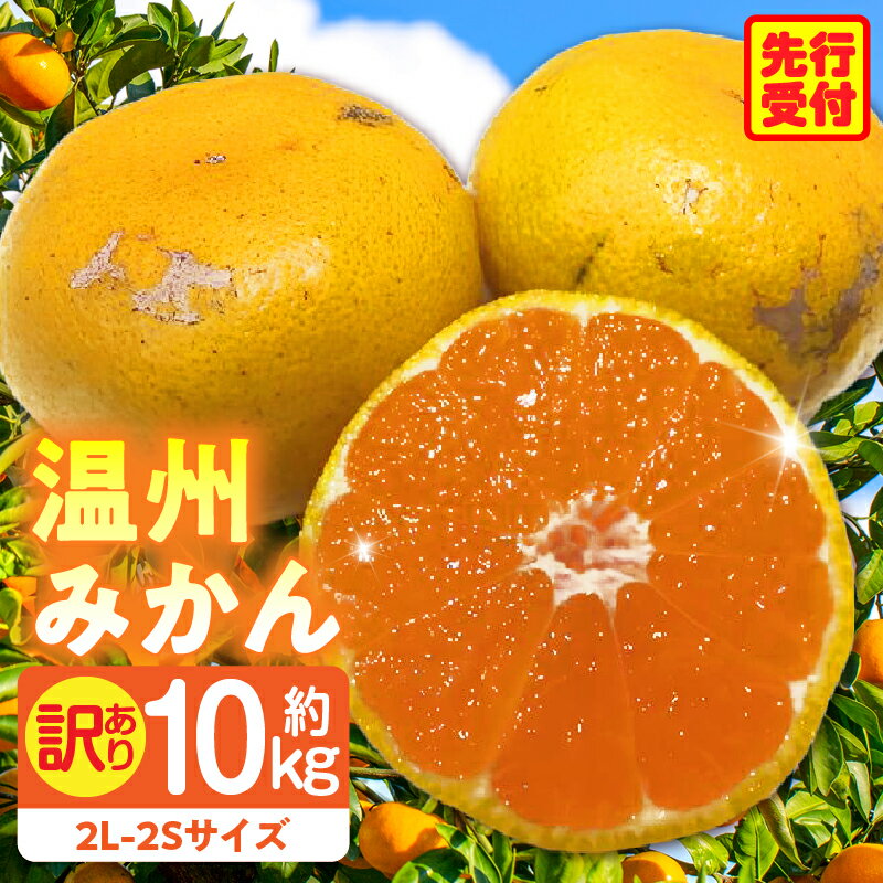 【ふるさと納税】訳あり温州みかん　約10kg みかん 温州みかん 果物 果実 訳あり 訳ありみかん 訳あり果物 訳ありフルーツ フルーツ 香川県 三木町