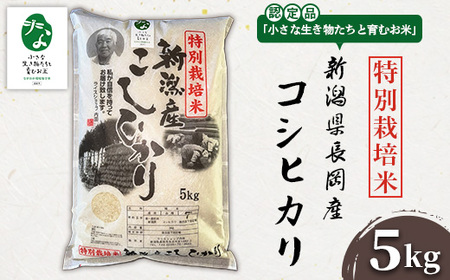 P1-01新潟県長岡産特別栽培米コシヒカリ 5kg【「小さな生き物たちと育むお米」認証品】