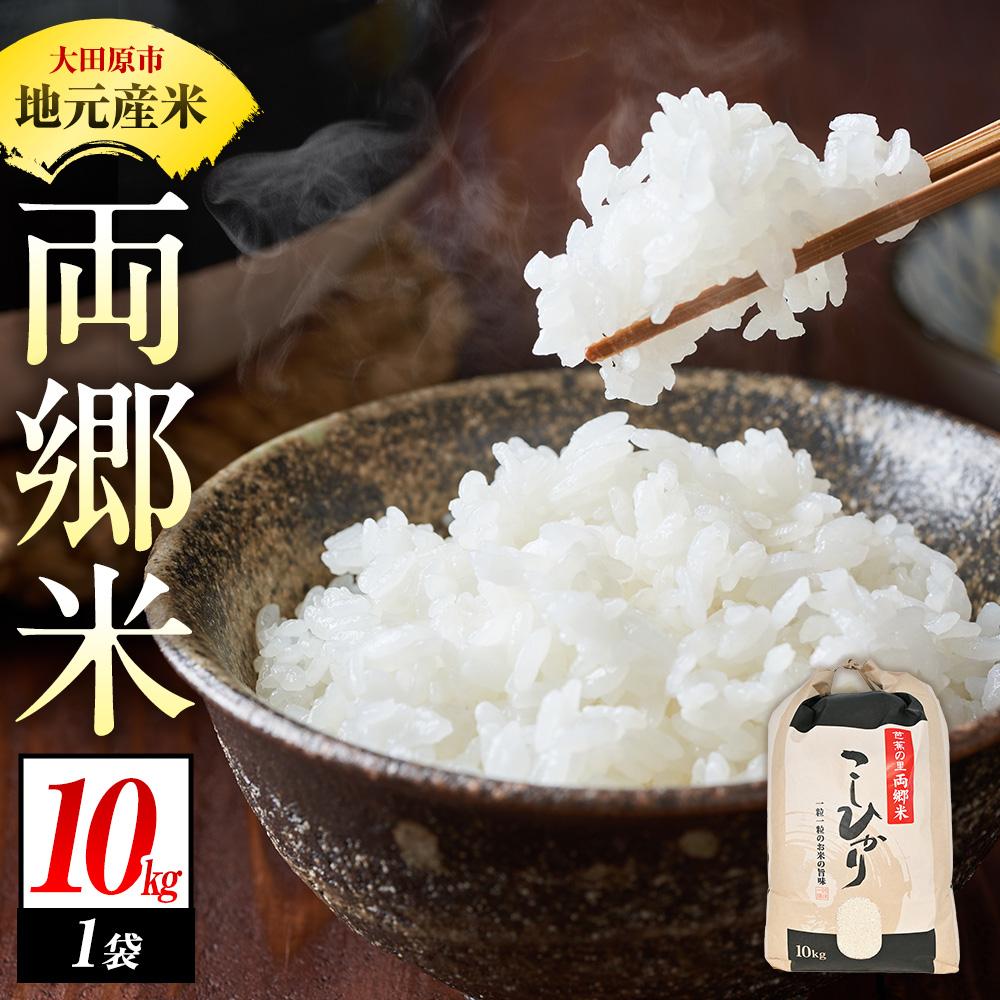 【ふるさと納税】地元産 両郷米 10Kg ×1袋 ｜ 新米 お米 コシヒカリ こしひかり 栃木県 大田原市