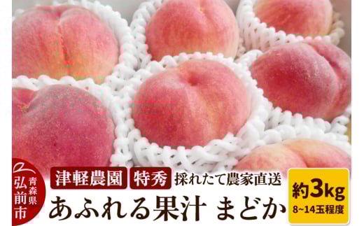もも【2025年産 あふれる果汁 まどか】特秀 約3kg 8～14玉程度 ASIAGAP認証農場 津軽農園 採れたて 農家直送