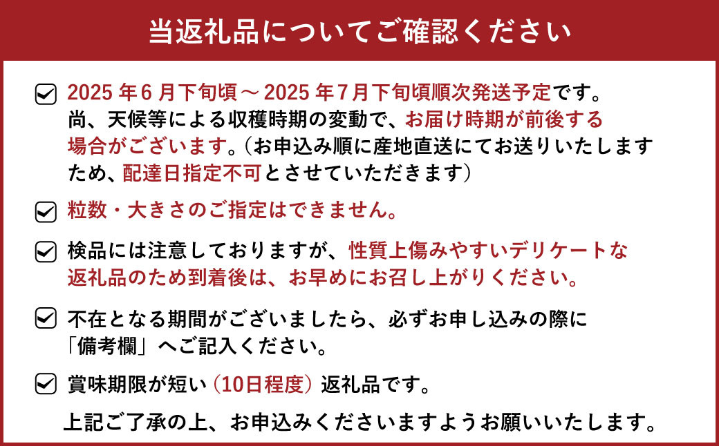 シャインマスカット 約2kg（3～7房）【2025年6月下旬～7月下旬発送予定】