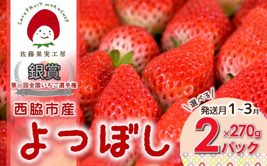 
                  《2027年産先行予約》「西脇市産 佐藤果実工房のよつぼし」（約270g×２パック 約540g）【佐藤果実工房 全国いちご選手権銀賞受賞農園 TVで紹介!】
                