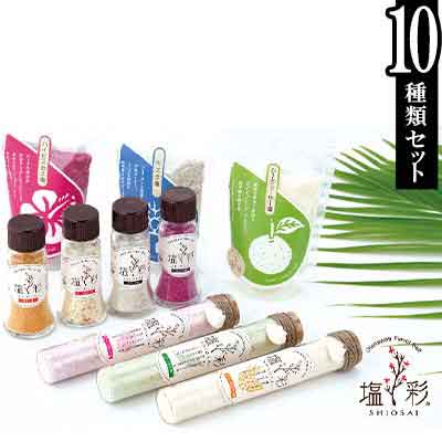 【ふるさと納税】塩彩フレーバーソルト10種詰め合わせ