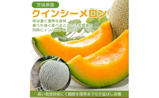 2026年5月上旬～発送【不揃い訳ありクインシーメロン 1玉】＼上品な甘さとジューシーな食感！／茨城県鉾田市産 クインシーメロン めろん 1玉｜先行予約 赤肉 産地直送 追熟 国産 フルーツ 果物 ご自宅用 おすすめ 人気 内山農園