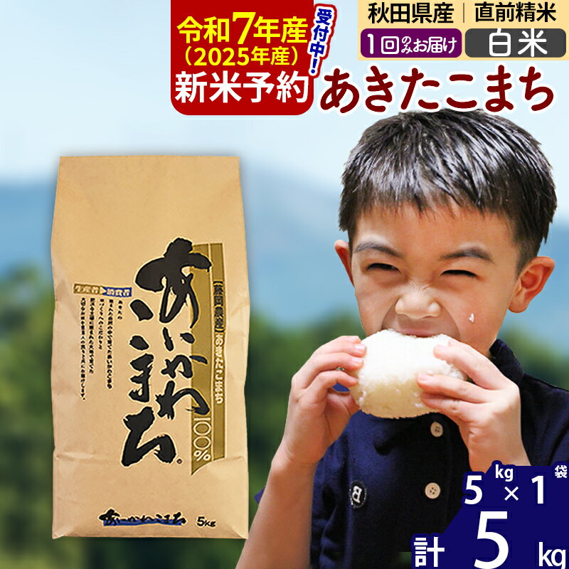 【ふるさと納税】※令和7年産 新米予約※秋田県産 あきたこまち 5kg【白米】(5kg小分け袋) 【1回のみお届け】2025年産 お米 藤岡農産