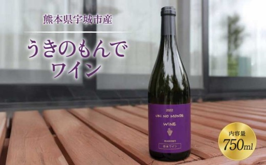
                  ワイン 赤ワイン 宇城市産 うきのもんでワイン 赤 750ml×1本 ワイン お酒
                