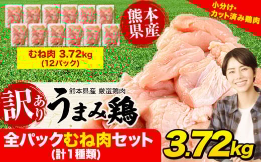鶏肉 うまみ鶏 全パックむね肉セット(計1種類) 合計3.72kg 冷凍 小分け 《7-14日以内に出荷予定(土日祝除く)》 肉 若どり  むね ムネ 個包装 熊本県産 鶏肉 鶏ムネ ムネ肉 ムネ肉 冷凍 冷凍鶏肉 冷凍ムネ肉 国産 国産鶏肉 国産ムネ肉 九州産 九州産鶏肉