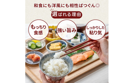 令和6年産米 土浦市産 コシヒカリ 精米5kg ｜ 茨城県土浦市のお米が収穫される旧新治村地区は、ホタルが舞うのどかな里です ※離島への配送不可　※2024年9月下旬～2025年8月上旬頃に順次発送予