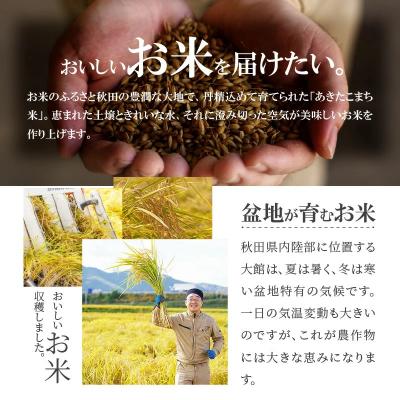 ふるさと納税 大館市 【定期便3ヶ月】令和7年秋田県産あきたこまち(無洗米)　10kg |  | 02