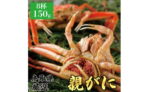 【2026年12月発送】鳥取県産 特撰 親がに 姿【セコガニ】（茹）150g 8杯【蟹 かに 蟹刺し かにさし せこがに 蟹みそ かにみそ 特選 鳥取県 北栄町 おすすめ 人気】
