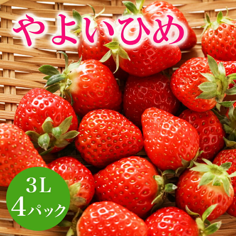 【ふるさと納税】【2026年先行予約】 やよいひめ 3L いちご イチゴ 苺 13粒 4パック 1kg 以上 国産 果物 フルーツ くだもの 1月 2月 3月 発送 冬 旬 産地直送 農家直送 産直 甘い デザート スイーツ 家庭用 贈答 贈答用 茨城 茨城県 石岡市 (A13-005)