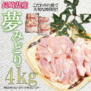 【ふるさと納税】【最速発送】【長崎県産】長崎夢みどり(鶏もも肉1kg×2P、手羽元1kg×2P・4kgセット) / 鶏肉 もも もも肉 手羽 手羽元 / 諫早市 / 西日本フード株式会社 [AHAV002] スピード 最短 最速 発送