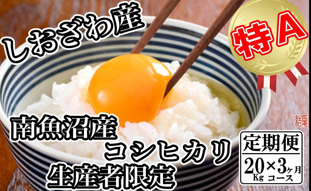 
            【定期便／20kg×3ヶ月】生産者限定 契約栽培 南魚沼しおざわ産コシヒカリ
          